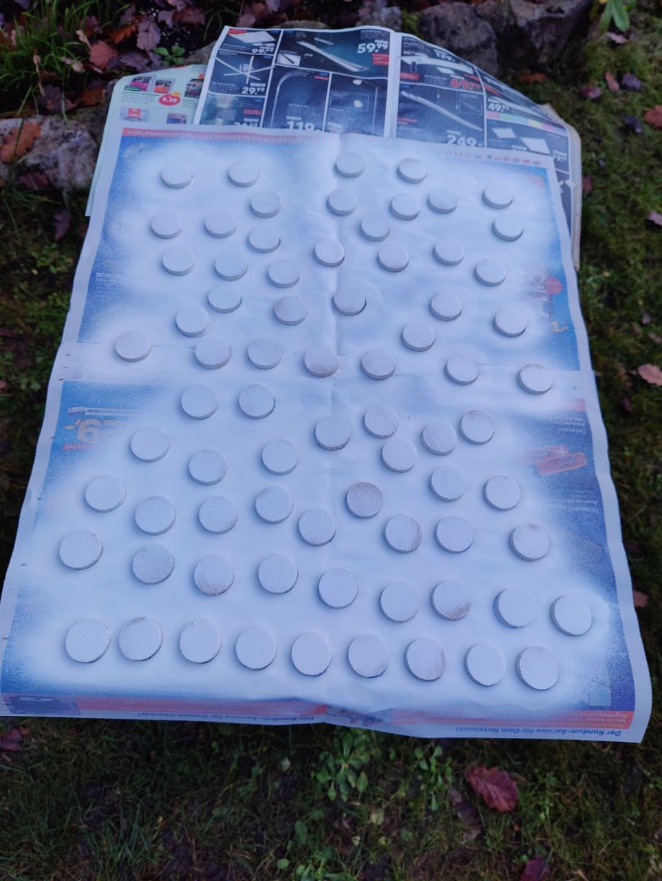 spaying%20in%20white